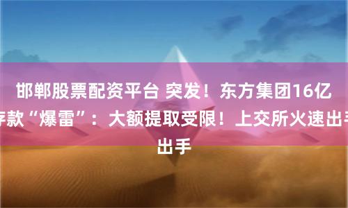 邯郸股票配资平台 突发！东方集团16亿存款“爆雷”：大额提取受限！上交所火速出手